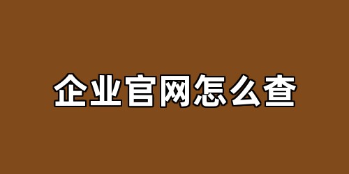 企业官网怎么查