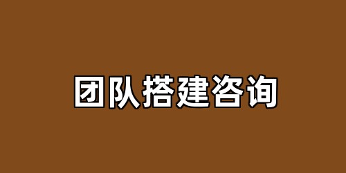 团队搭建咨询