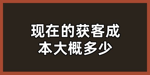 现在的获客成本大概多少